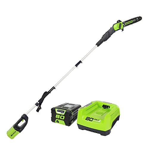 Greenworks PRO 80V 10 Brushless Cordless Polesaw, 2.0Ah Battery and Charger Included PS80L210