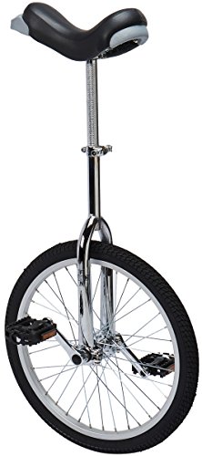 10 Best Unicycles For Adults