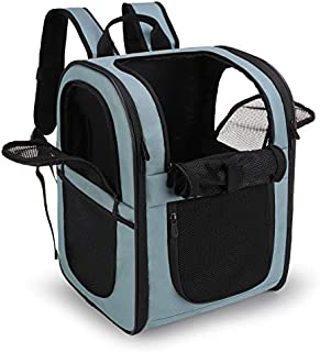 apollo walker Pet Carrier Backpack for Small Cats and Dogs, Puppies, Two-Sided Entry, Safety Features and Cushion Back Support | for Travel, Hiking, Outdoor Use (Blue)