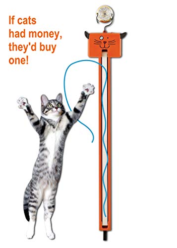 Moody Pet Fling-AMA-String Cat Toy