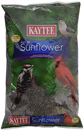 Kaytee Wild Bird Food Black Oil Sunflower - 5 Lb