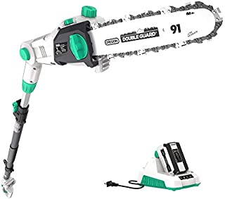 LiTHELi 40V Cordless Pole Saw 10 inches with 2.5AH Battery and Charger