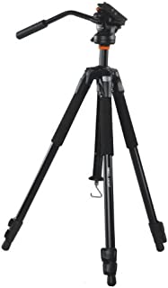 Vanguard Abeo 243AV