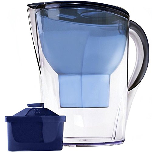 Lake Industries The Alkaline Water Pitcher