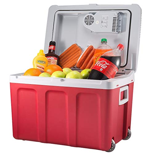 Knox Gear 48 Quart Electric Cooler/Warmer