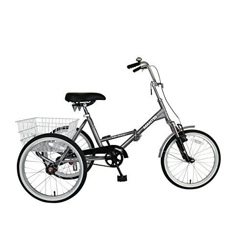 Tri-Rad 20 Inch Wheels Single Speed Adult Folding Tricycle, Silver