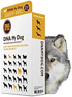 Hybrid Test - Dna My Dog