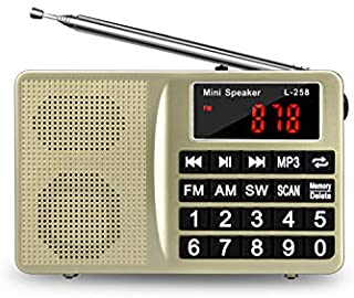 FM AM SW All-Band Receiver with Best Reception, Portable Radio with Headset Output/AUX Input/MP3/External Speaker/32GB TF Card, Stores Stations Automatically and Powered by Lithium Battery