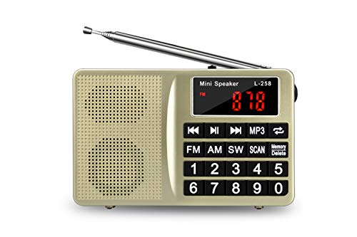 FM AM SW All-Band Receiver with Best Reception, Portable Radio with Headset Output/AUX Input/MP3/External Speaker/32GB TF Card, Stores Stations Automatically and Powered by Lithium Battery