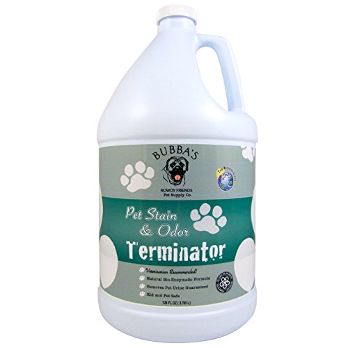 10 Best Carpet Steam Cleaners For Pet Urine