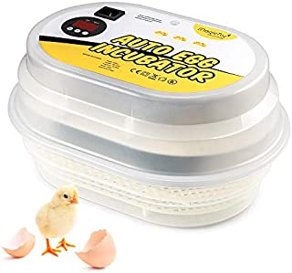 Magicfly Digital Mini Fully Automatic Egg Incubator 9-12 Eggs Poultry Hatcher for Chickens Ducks Goose Birds