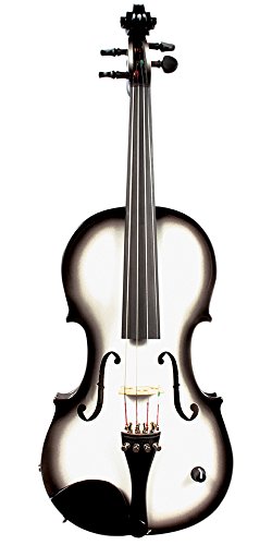 Barcus Berry BAR-AET Violin