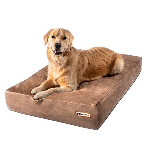 10 Best Dog Beds For Older Large Dogs