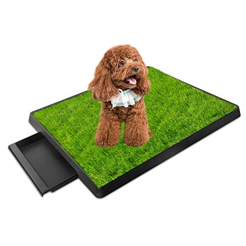 iMounTEK Grass Patch for Dogs, Artificial Grass for Dogs Potty with Tray, Fake Grass for Dogs Indoor and Outdoor Use, Puppy Training Pad, Best for Medium and Small Dog (Grass Patch with Tray)