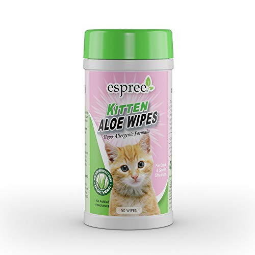 10 Best Baby Wipes For Kittens