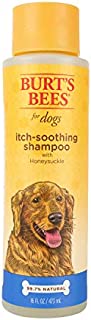 Burt's Bees For Dogs Natural Itch Soothing Shampoo with Honeysuckle | Anti-Itch Dog Shampoo, 16 Ounces