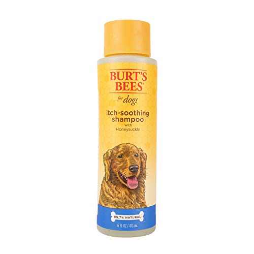 Burt's Bees For Dogs Natural Itch Soothing Shampoo with Honeysuckle | Anti-Itch Dog Shampoo, 16 Ounces