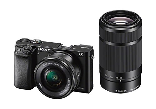 Sony Alpha a6000 Mirrorless Digital Camera