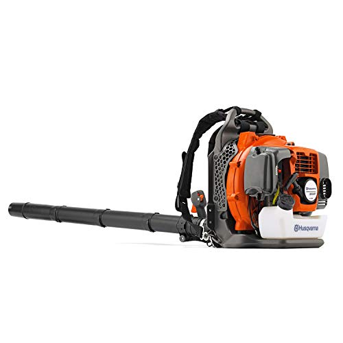 10 Best Backpack Blower