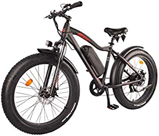 DJ Fat Bike 750W 48V 13Ah Power Electric Bicycle