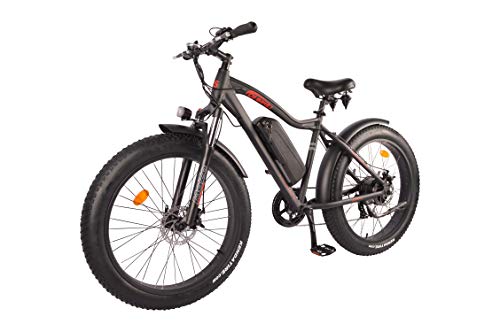 DJ Fat Bike 750W 48V 13Ah Power Electric Bicycle