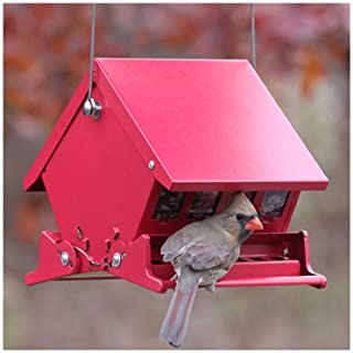 Audubon 7458 4 Lb Capacity Squirrel Proof Bird Feeder