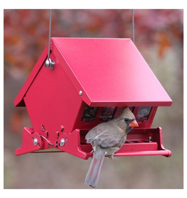 Audubon 7458 4 Lb Capacity Squirrel Proof Bird Feeder