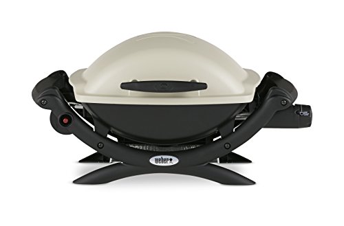 Weber 50060001 Q1000 Liquid