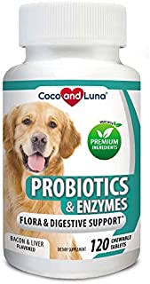 Probiotics for Dogs  Digestive Enzymes, Diarrhea Treatment for Dogs, Promotes Healthy Stomach and Digestion  Relieves Constipation and Gas - 120 Chew-able Tablets