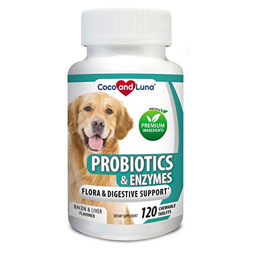 Probiotics fo
</p>
                                                            </div>
                            <div class=