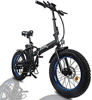 ECOTRIC Powerful Foldable Fat Tire Bike 48V 13AH Li-ion Battery 500W Motor 20