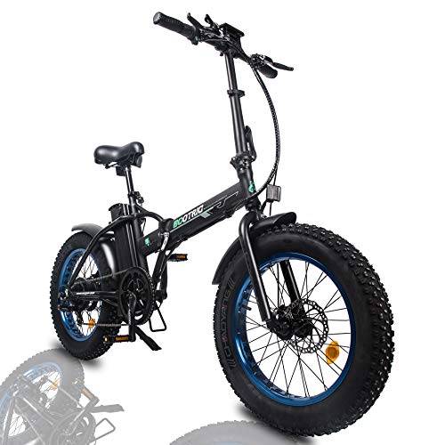 ECOTRIC Powerful Foldable Fat Tire Bike 48V 13AH Li-ion Battery 500W Motor 20