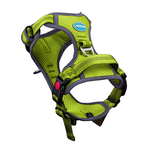 10 Best Dog Harnesses For Hiking