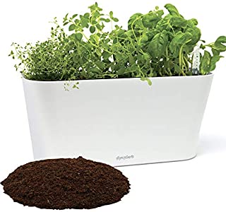 Window Garden Aquaphoric Herb Garden Tub - Self Watering Planter + Fiber Soil, Keeps Indoor Kitchen Herbs Fresh and Growing for Weeks on Your Home Windowsill. Compact, Attractive and Foolproof.