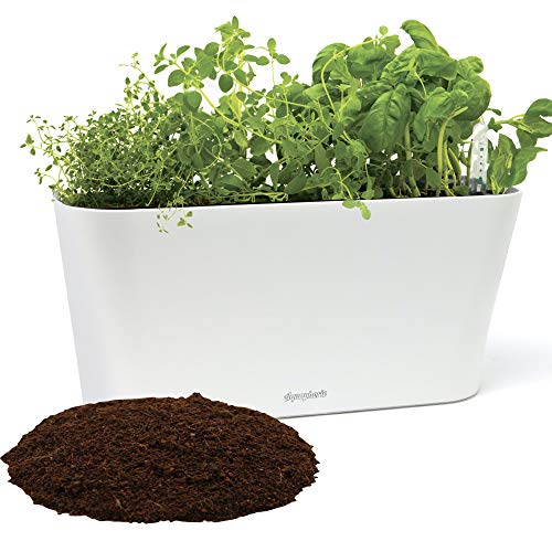 Window Garden Aquaphoric Herb Garden Tub - Self Watering Planter + Fiber Soil, Keeps Indoor Kitchen Herbs Fresh and Growing for Weeks on Your Home Windowsill. Compact, Attractive and Foolproof.