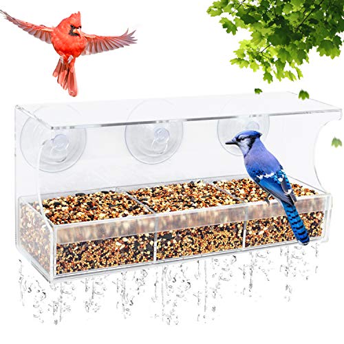 Remunkia Wild Bird Feeder Larger Capacity Sliding Seed Tray with Drain Holes Squirrel Proof Window Bird Feeder with Strong Suction Cups for All Season Bird Watching Great Gift