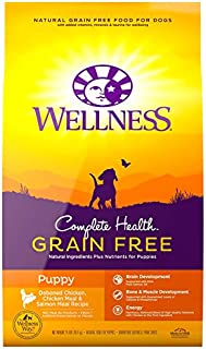 Wellness Complete Health Natural Grain Free Dry Puppy Food, Chicken & Salmon, 24-Pound Bag