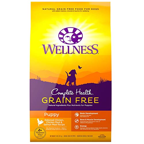 Wellness Complete Health Natural Grain Free Dry Puppy Food, Chicken & Salmon, 24-Pound Bag