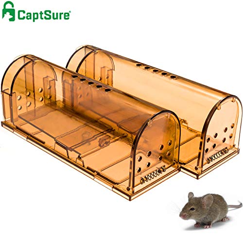 CaptSure Original Humane Mouse Traps, Easy to Set, Kids/Pets Safe, Reusable for Indoor/Outdoor use, for Small Rodent/Voles/Hamsters/Moles Catcher That Works. 2 Pack (Small)