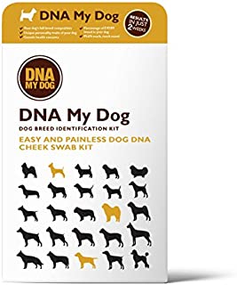 Dna My Dog - Canine Breed Identification Test Kit