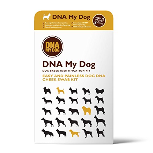 10 Best Dog Dna Test For Wolf