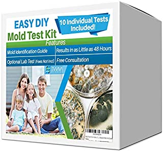 Evviva Sciences Mold Test Kit for Home - 10 Simple Mold Detection Tests - Optional Lab Analysis - Test HVAC System, Room Air, Home Surfaces for Molds/Spores - Includes Detailed Mold ID Guide