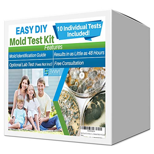 Evviva Sciences Mold Test Kit for Home - 10 Simple Mold Detection Tests - Optional Lab Analysis - Test HVAC System, Room Air, Home Surfaces for Molds/Spores - Includes Detailed Mold ID Guide