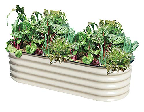 Metal Garden Box, Jungle Janes Raised Garden Planter