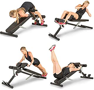 Fitness Reality X-Class Light Commercial Multi-Workout Abdominal/Hyper Back Extension Bench