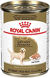 Royal Canin Breed Health Nutrition Labrador Retriever Adult Loaf in Sauce Canned Dog Food, 13.5 oz Can (Case of 12)