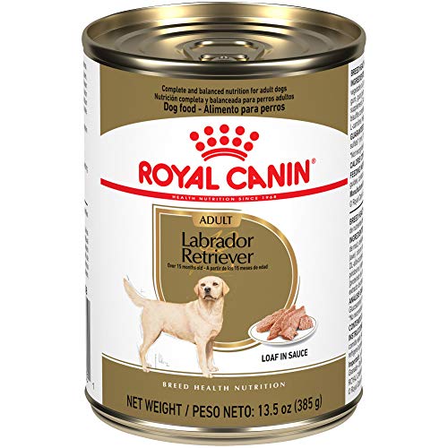 Royal Canin Breed Health Nutrition Labrador Retriever Adult Loaf in Sauce Canned Dog Food, 13.5 oz Can (Case of 12)