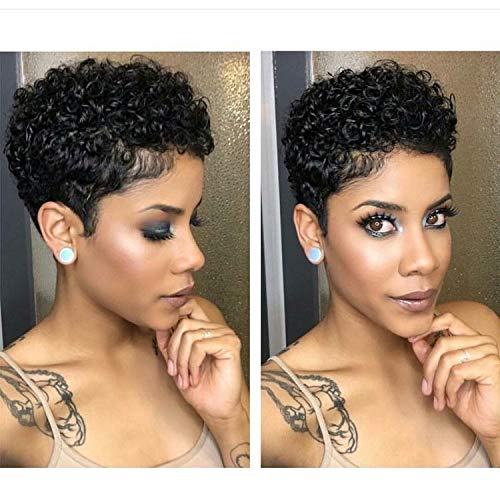 Naseily Short Afro Kinky Curly Synthetic Wigs for Black Women African American Short Hair Wigs 4 Colors Availble (Nas-9641-1B)