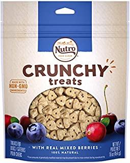 NUTRO Crunchy Dog Treats with Real Mixed Berries, 16 Ounce Bag