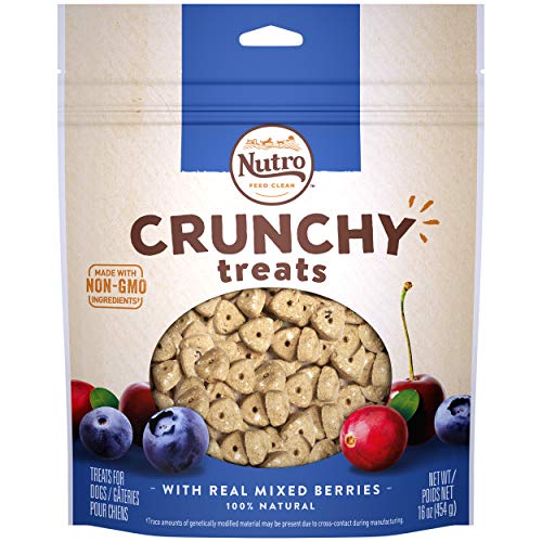 NUTRO Crunchy Dog Treats with Real Mixed Berries, 16 Ounce Bag